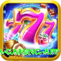 pkcasino Mega Gaming App